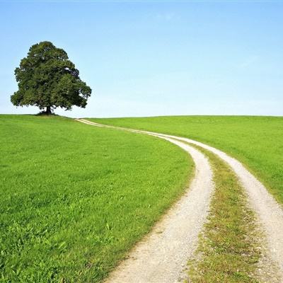 天博登录网站截图